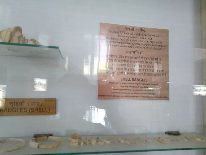 Photo of Archaeological Museum By Dr. Yadwinder Singh 