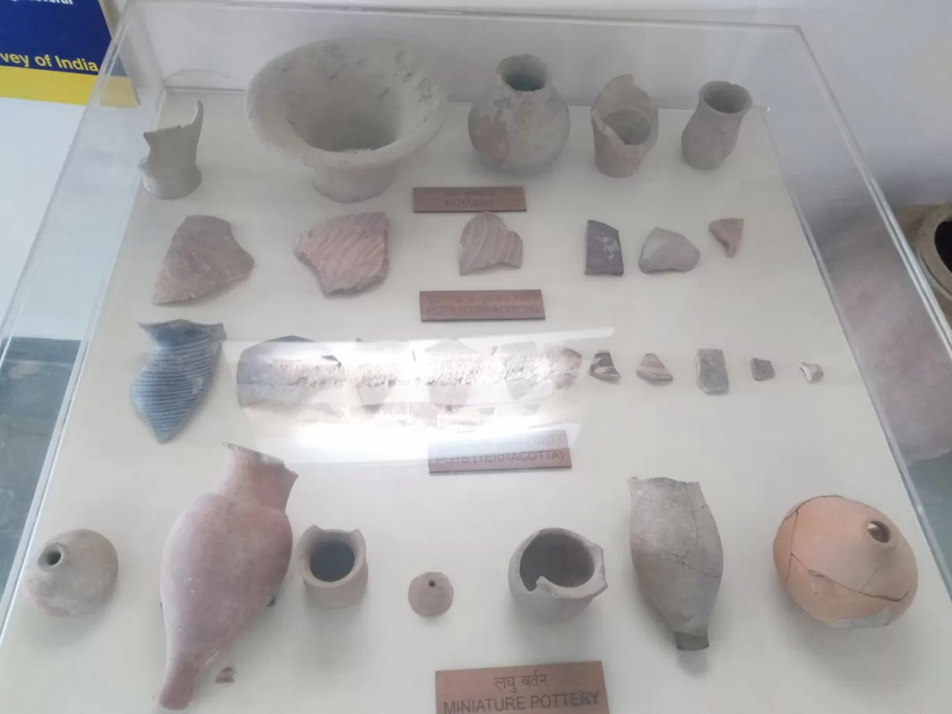 Photo of Archaeological Museum By Dr. Yadwinder Singh 