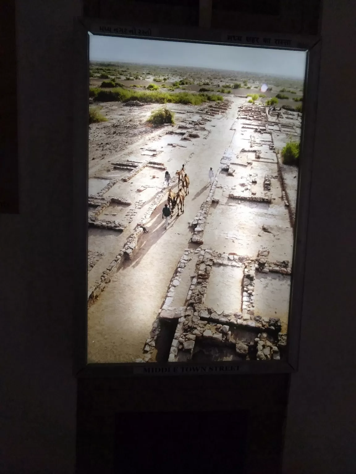 Photo of Archaeological Museum By Dr. Yadwinder Singh 