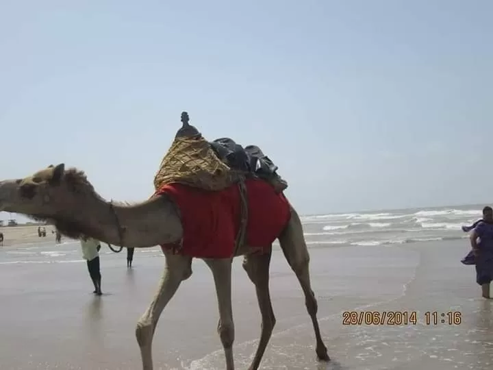 Photo of Mandvi Beach By Dr. Yadwinder Singh 