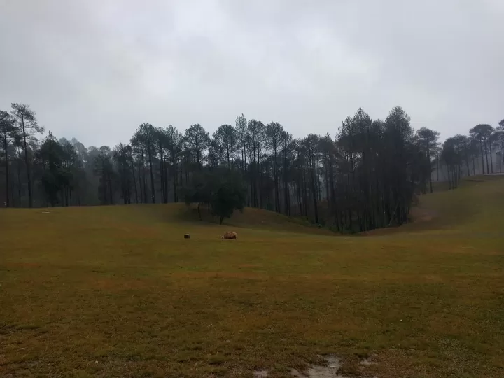 Photo of Golf Ground Ranikhet By Dr. Yadwinder Singh 