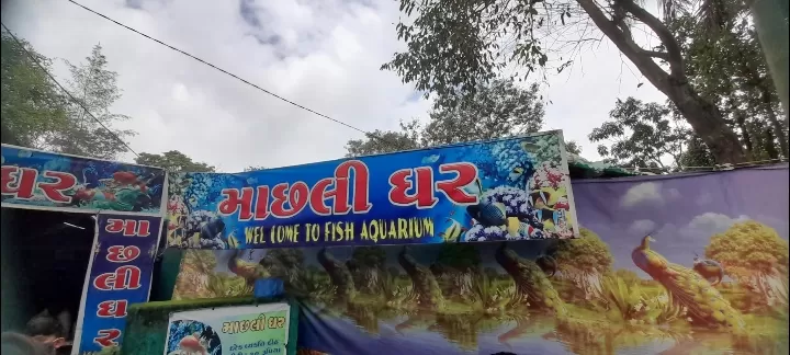 Photo of Fish Aquarium By Dr. Yadwinder Singh 