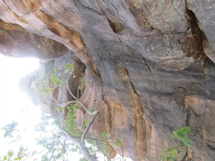 Photo of Bhimbetka rock shelters By Dr. Yadwinder Singh 