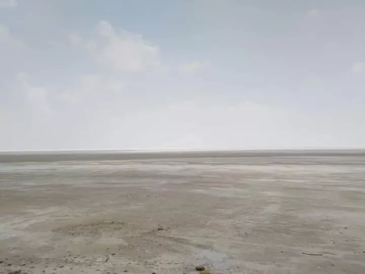 Photo of Great Rann of Kutch By Dr. Yadwinder Singh 