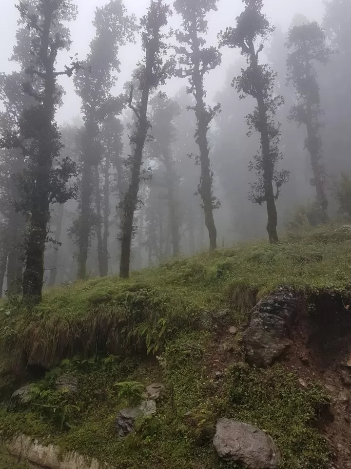 Photo of Jalori Pass By Dr. Yadwinder Singh 