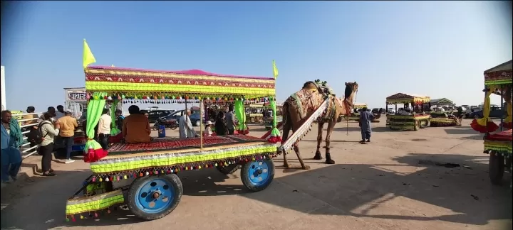 Photo of Rann Utsav By Dr. Yadwinder Singh 