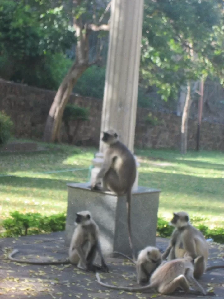 Photo of Ellora caves By Dr. Yadwinder Singh 