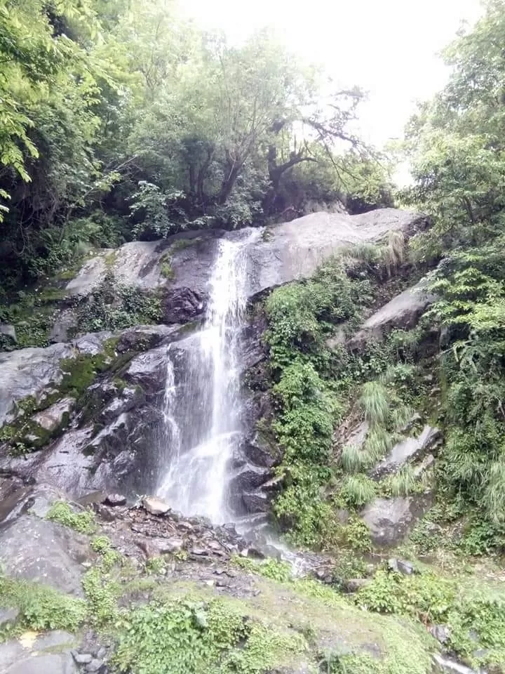 Photo of Barot Valley Road By Dr. Yadwinder Singh 