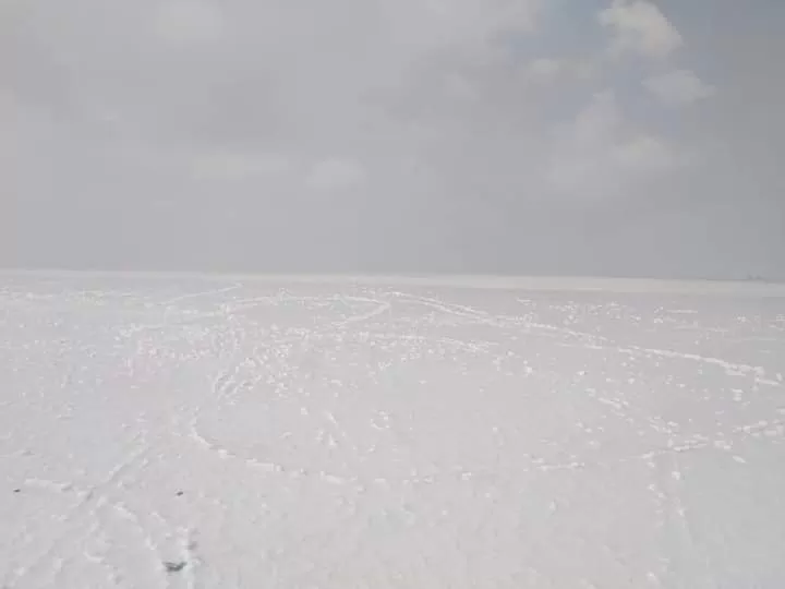 Photo of White Desert Of Kutch By Dr. Yadwinder Singh 