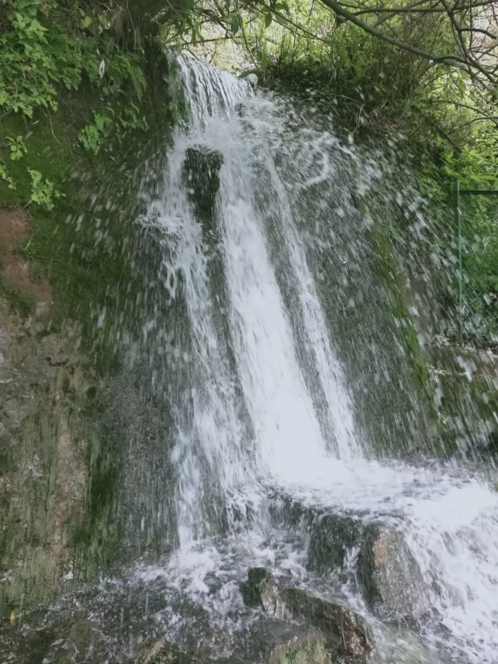 Photo of Woodland water fall nainital By Dr. Yadwinder Singh 