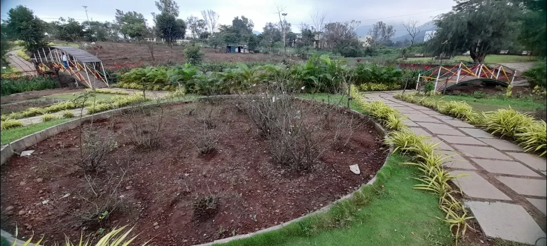 Photo of Valley of Flowers (ફ્લાવર વેલી) By Dr. Yadwinder Singh 