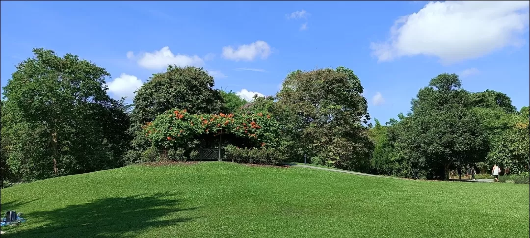 Photo of Singapore Botanic Gardens By Dr. Yadwinder Singh 