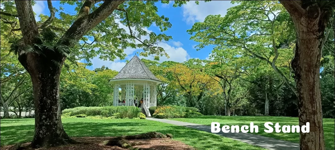 Photo of Singapore Botanic Gardens By Dr. Yadwinder Singh 