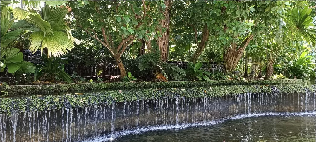 Photo of Singapore Botanic Gardens By Dr. Yadwinder Singh 