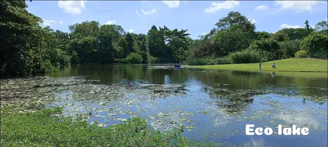 Photo of Singapore Botanic Gardens By Dr. Yadwinder Singh 