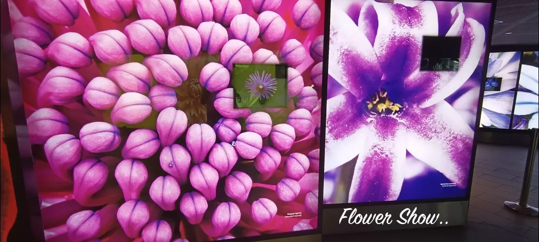 Photo of Flower Dome By Dr. Yadwinder Singh 