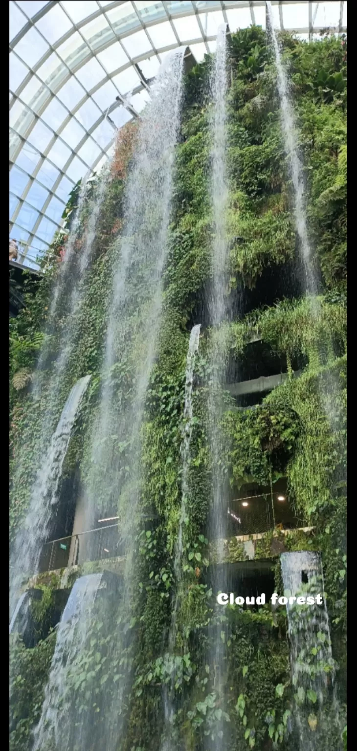 Photo of Flower Dome By Dr. Yadwinder Singh 