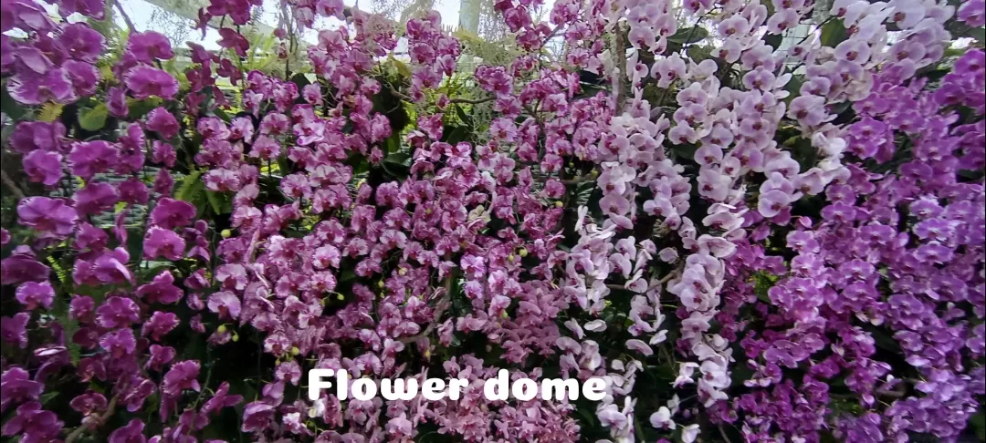 Photo of Flower Dome By Dr. Yadwinder Singh 