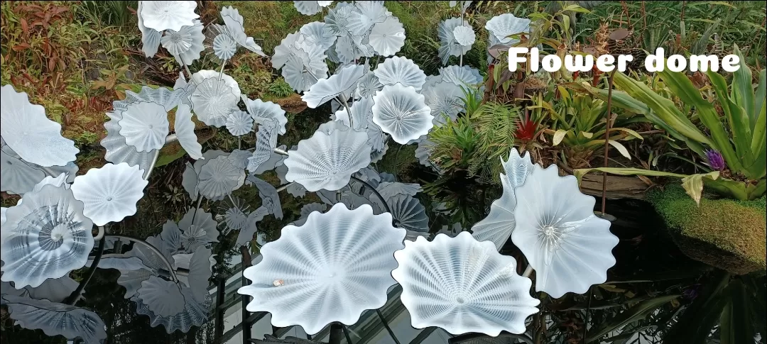 Photo of Flower Dome By Dr. Yadwinder Singh 