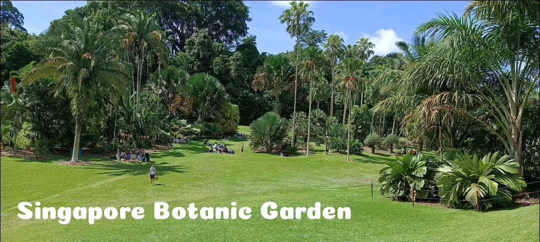 Photo of Singapore Botanic Gardens By Dr. Yadwinder Singh 