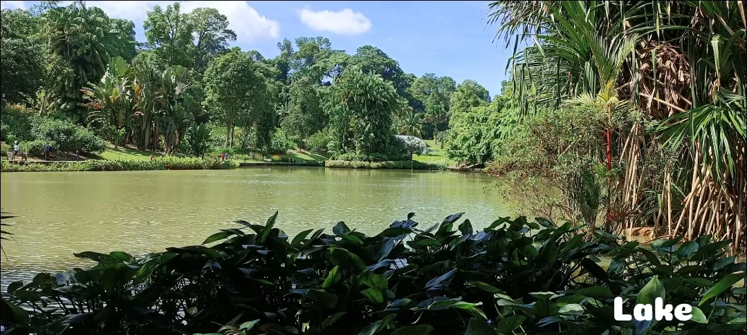 Photo of Singapore Botanic Gardens By Dr. Yadwinder Singh 