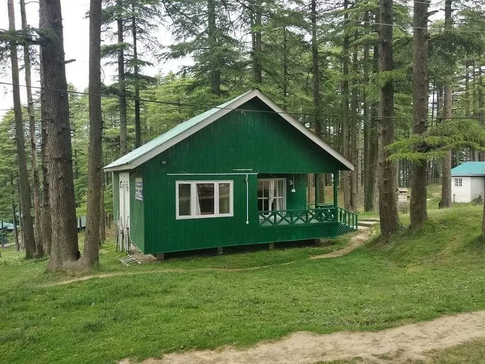 Photo of Patnitop Picnic Spot - Hill Station By Dr. Yadwinder Singh 