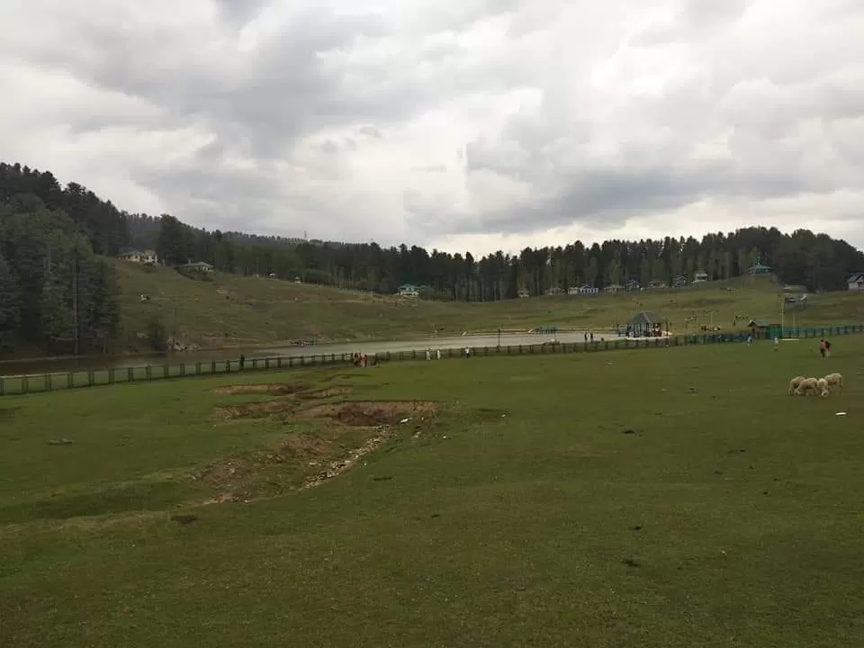 Photo of Patnitop Picnic Spot - Hill Station By Dr. Yadwinder Singh 