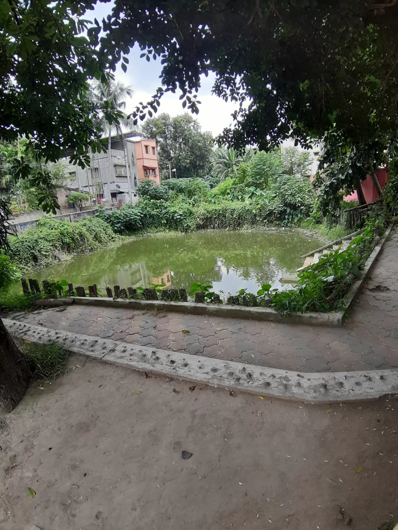 Photo of Boral High School By Sayantani Basu
