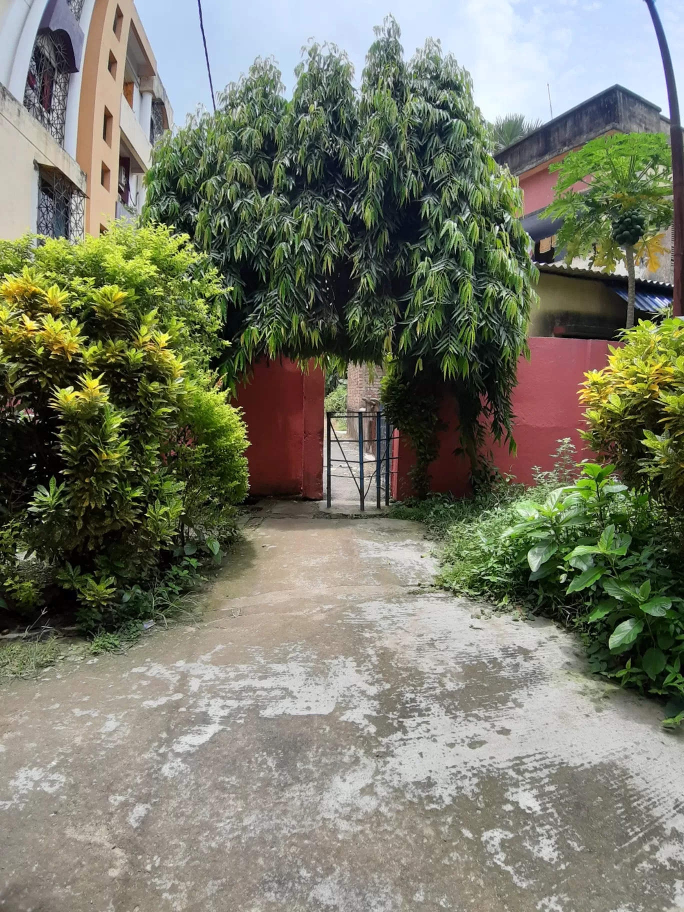 Photo of Boral High School By Sayantani Basu