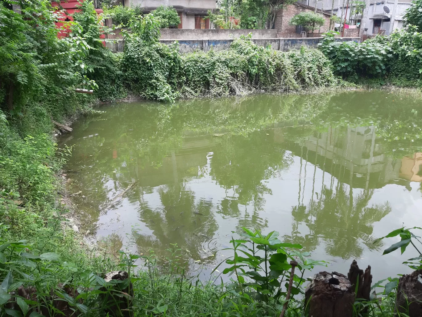 Photo of Boral High School By Sayantani Basu
