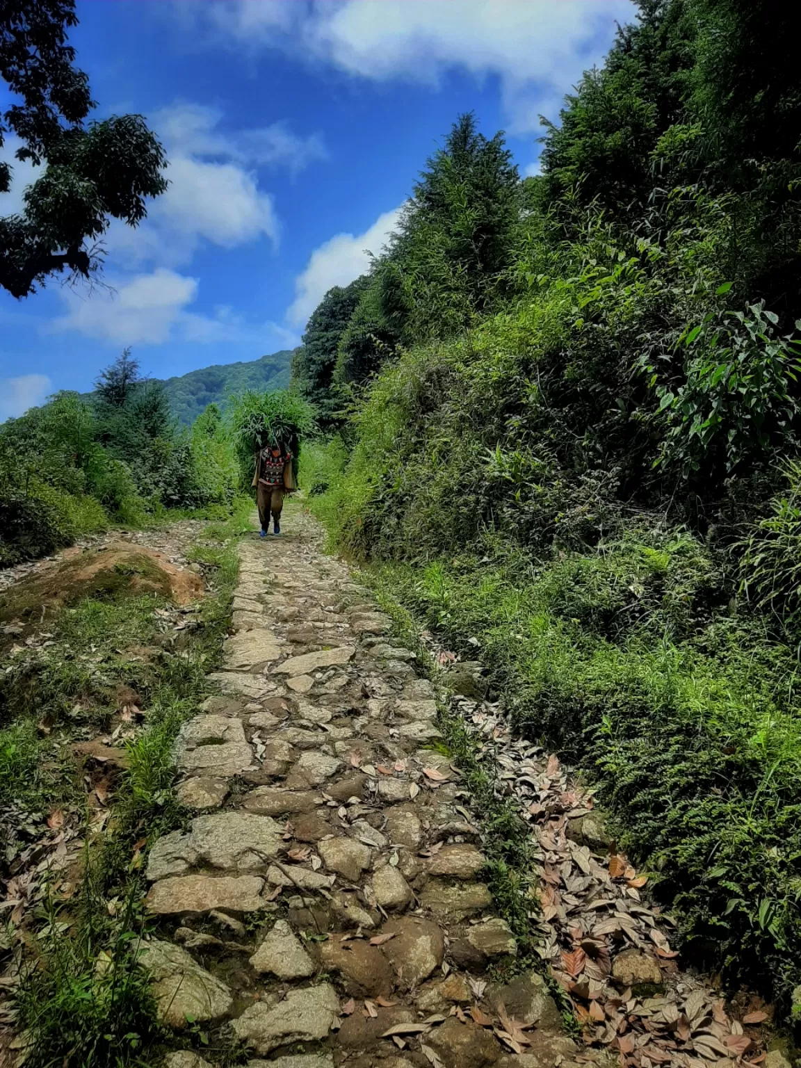 Photo of Dhotrey By Arghadeep Sikdar