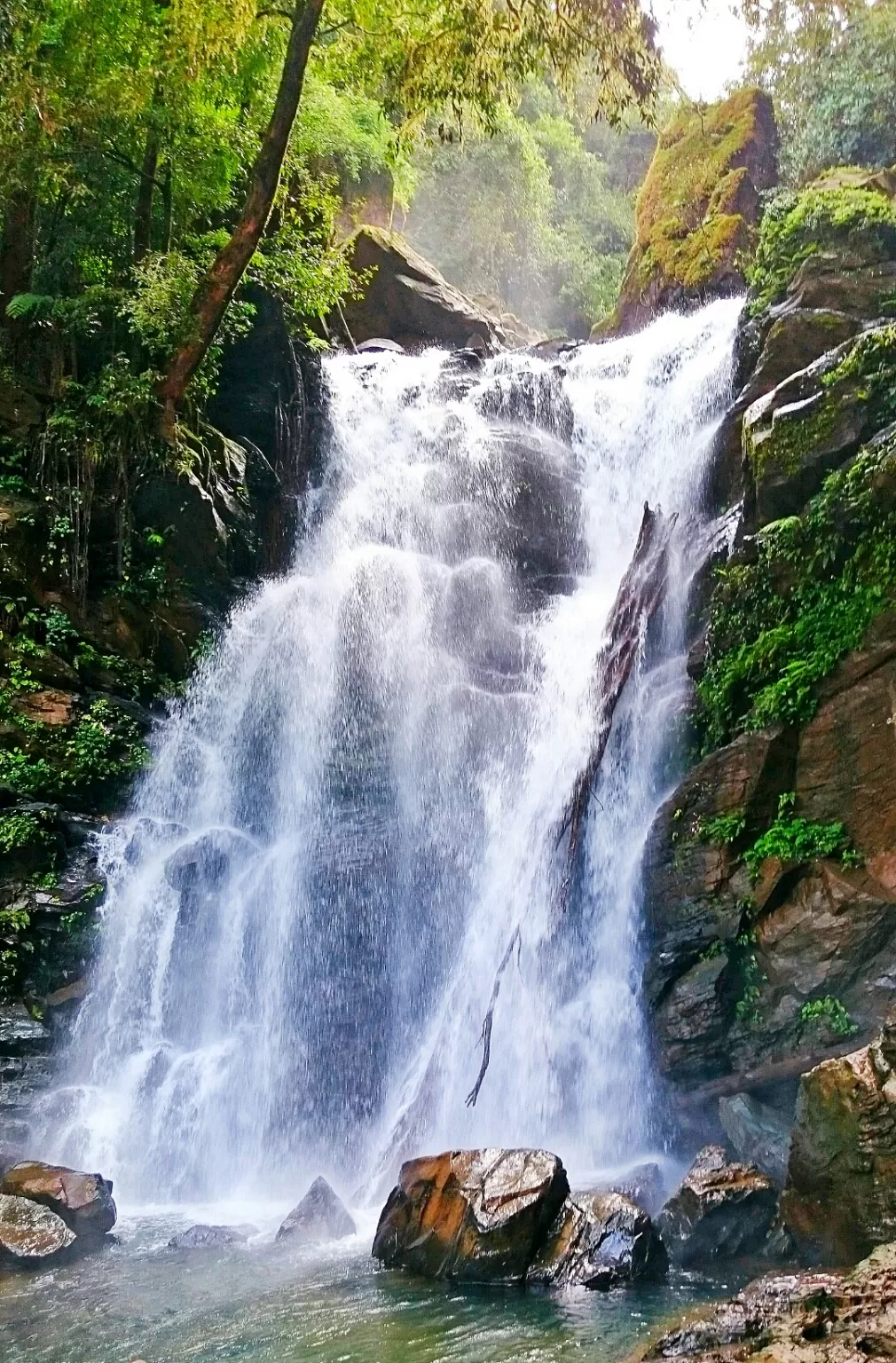 Photo of Hanumana Gundi Falls By Shikhar Leo