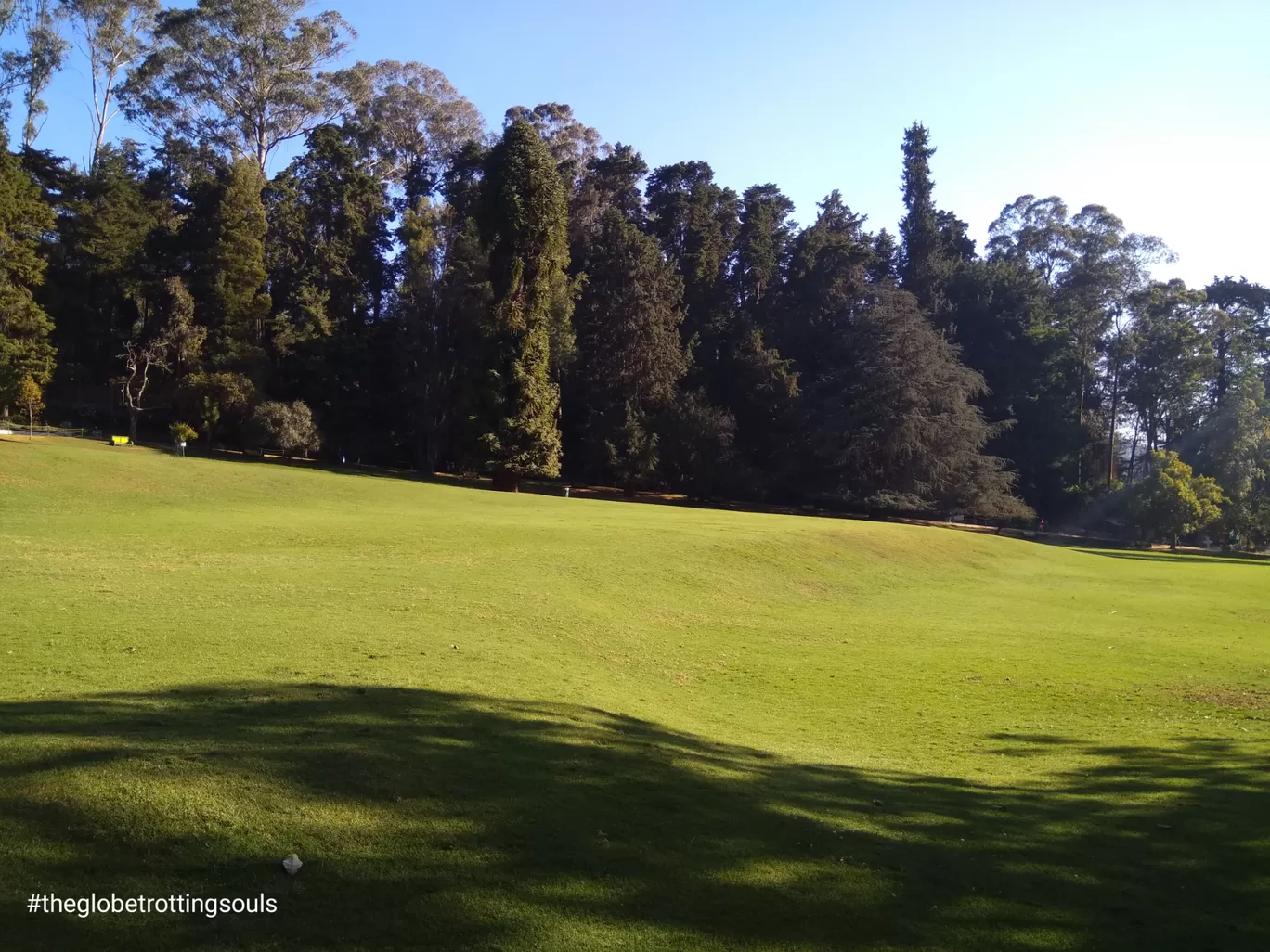 Photo of Ooty Botanical Gardens By The Globetrotting Souls