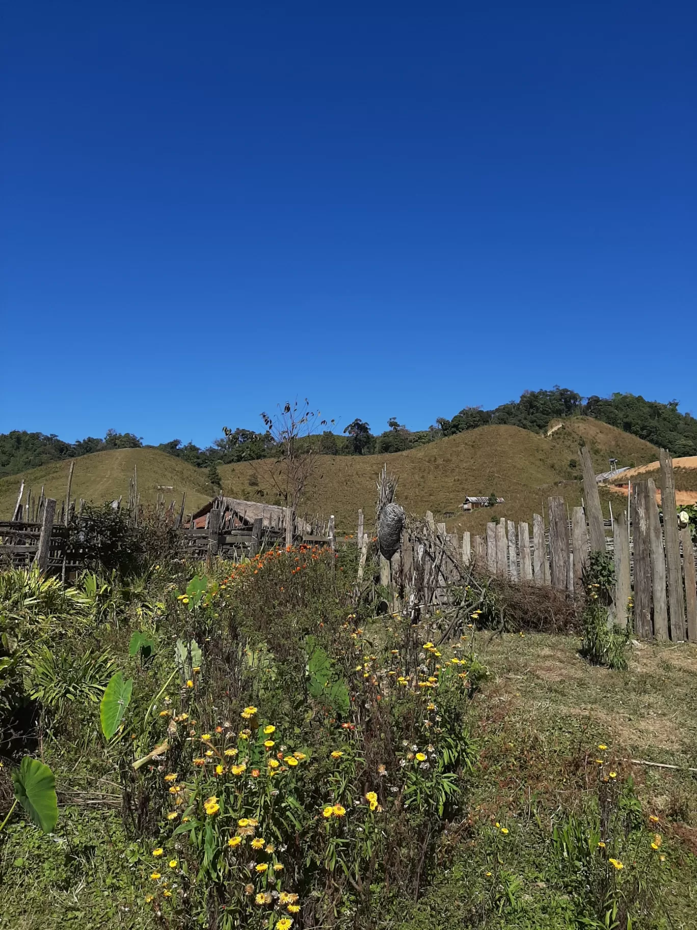 Photo of Tamenglong By Asangle Disong
