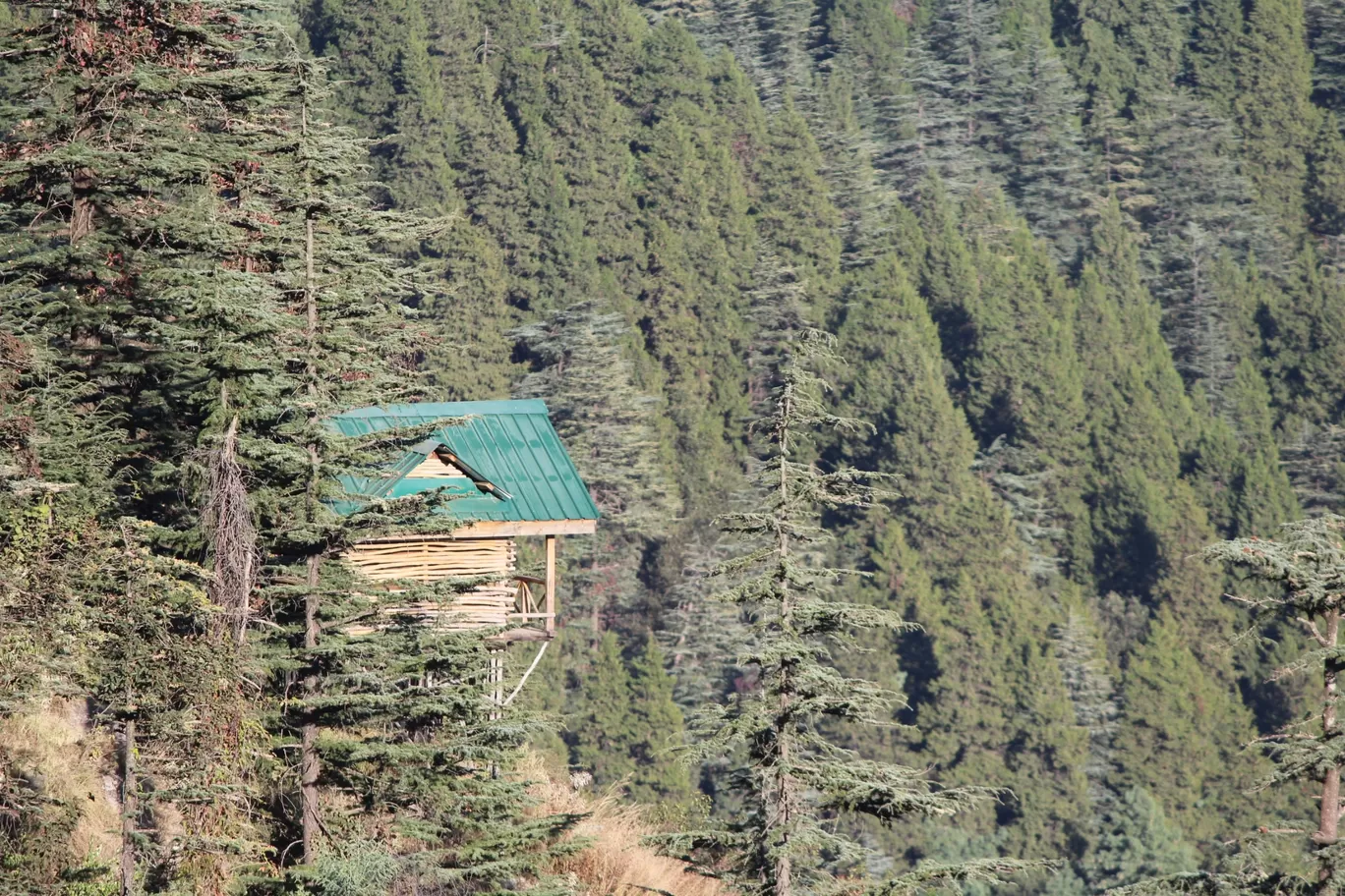 Photo of Manali By Murtuja A Sadikot