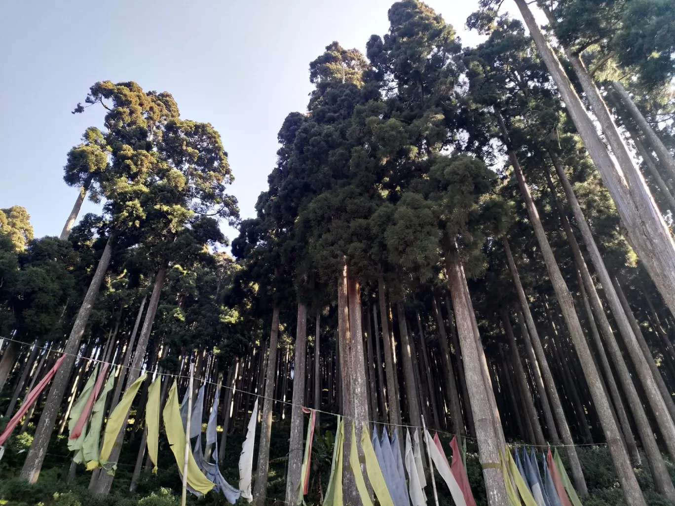 Photo of Darjeeling By Koushiki Das