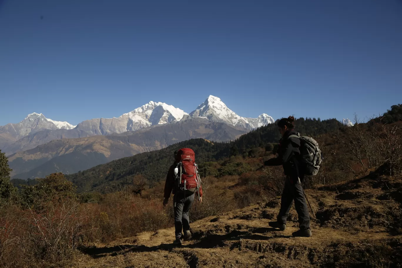 Photo of Himalaya By wanderlustauthentic 