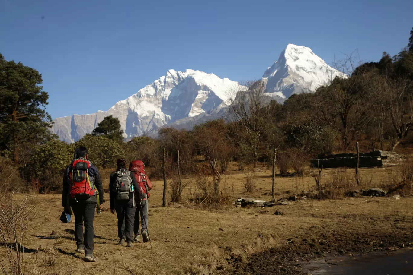 Photo of Himalaya By wanderlustauthentic 