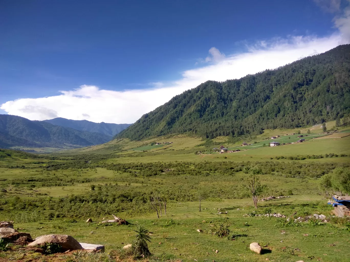 Photo of Phobjikha Valley By riya kayal