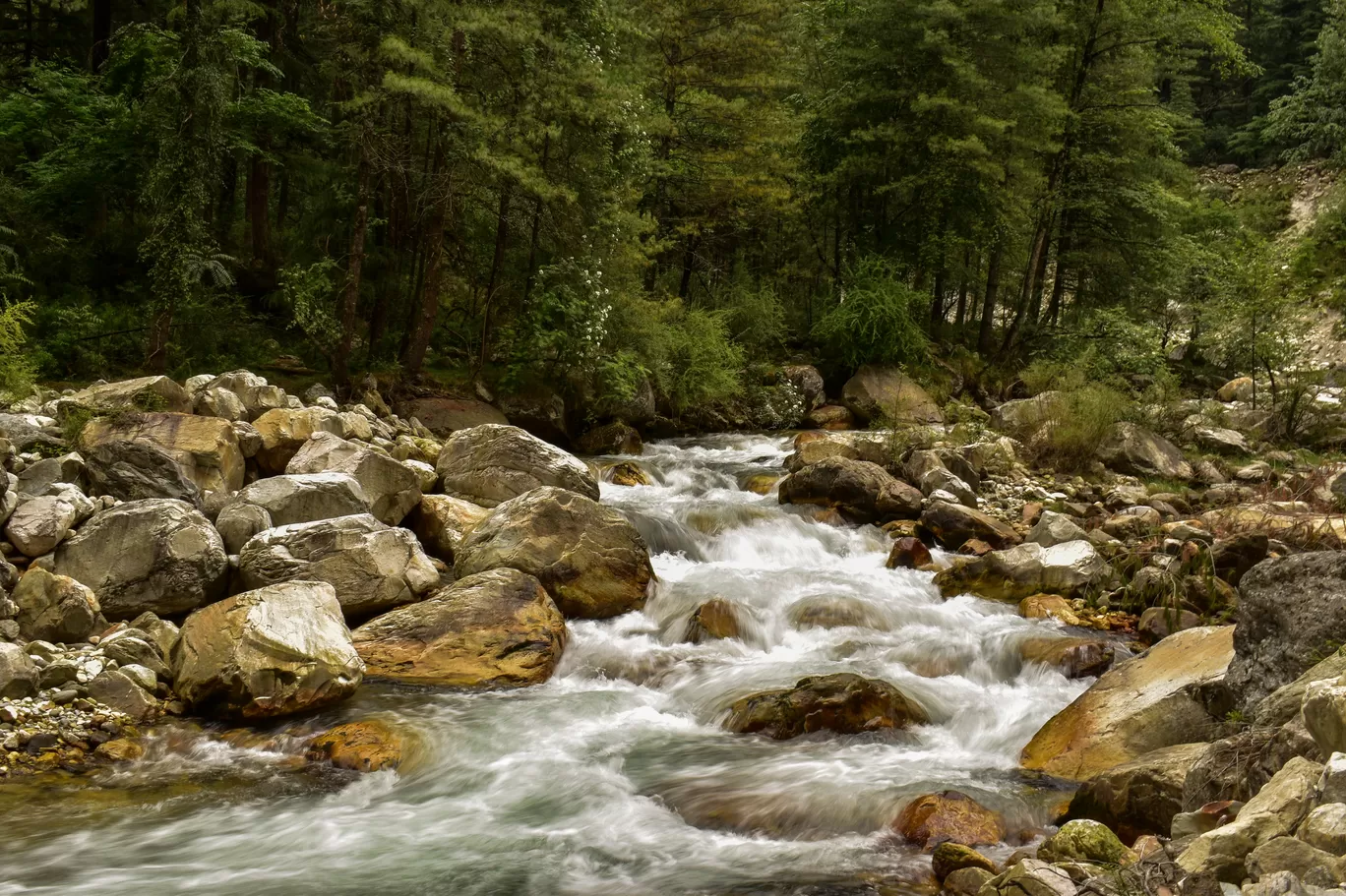 Photo of Kasol By Rajesh Dey