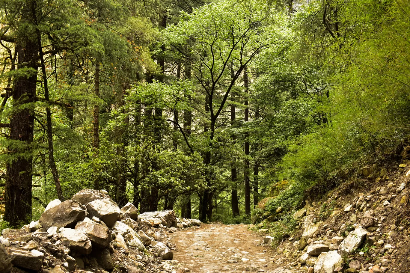 Photo of Kasol By Rajesh Dey