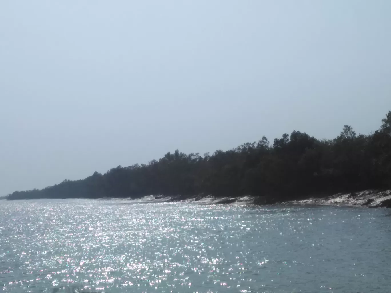 Photo of Sundarbans By Niloy Chowdhury