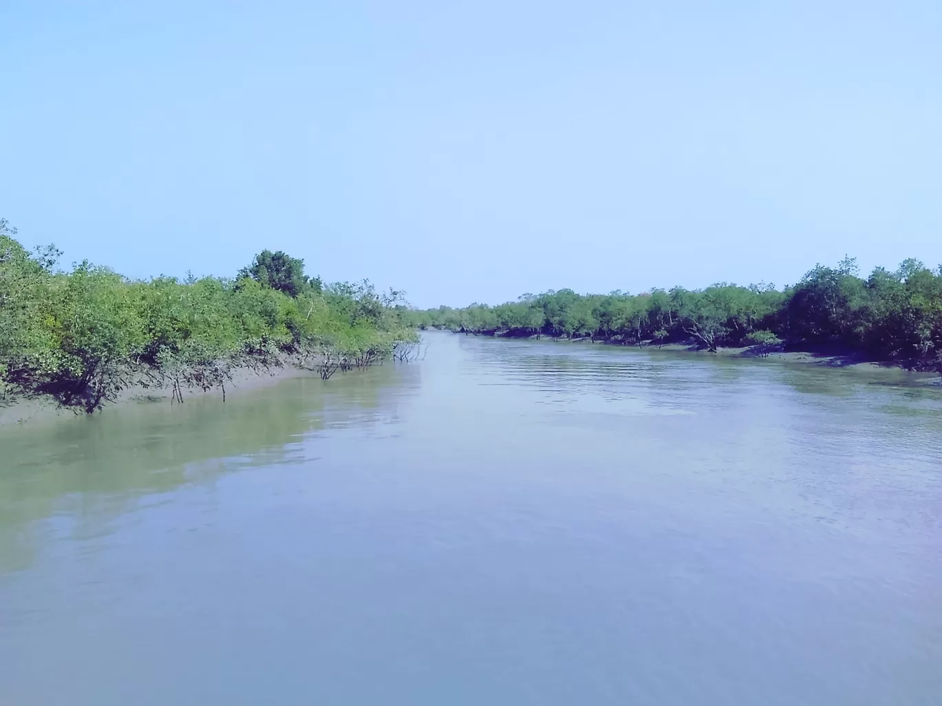 Photo of Sundarbans By Niloy Chowdhury