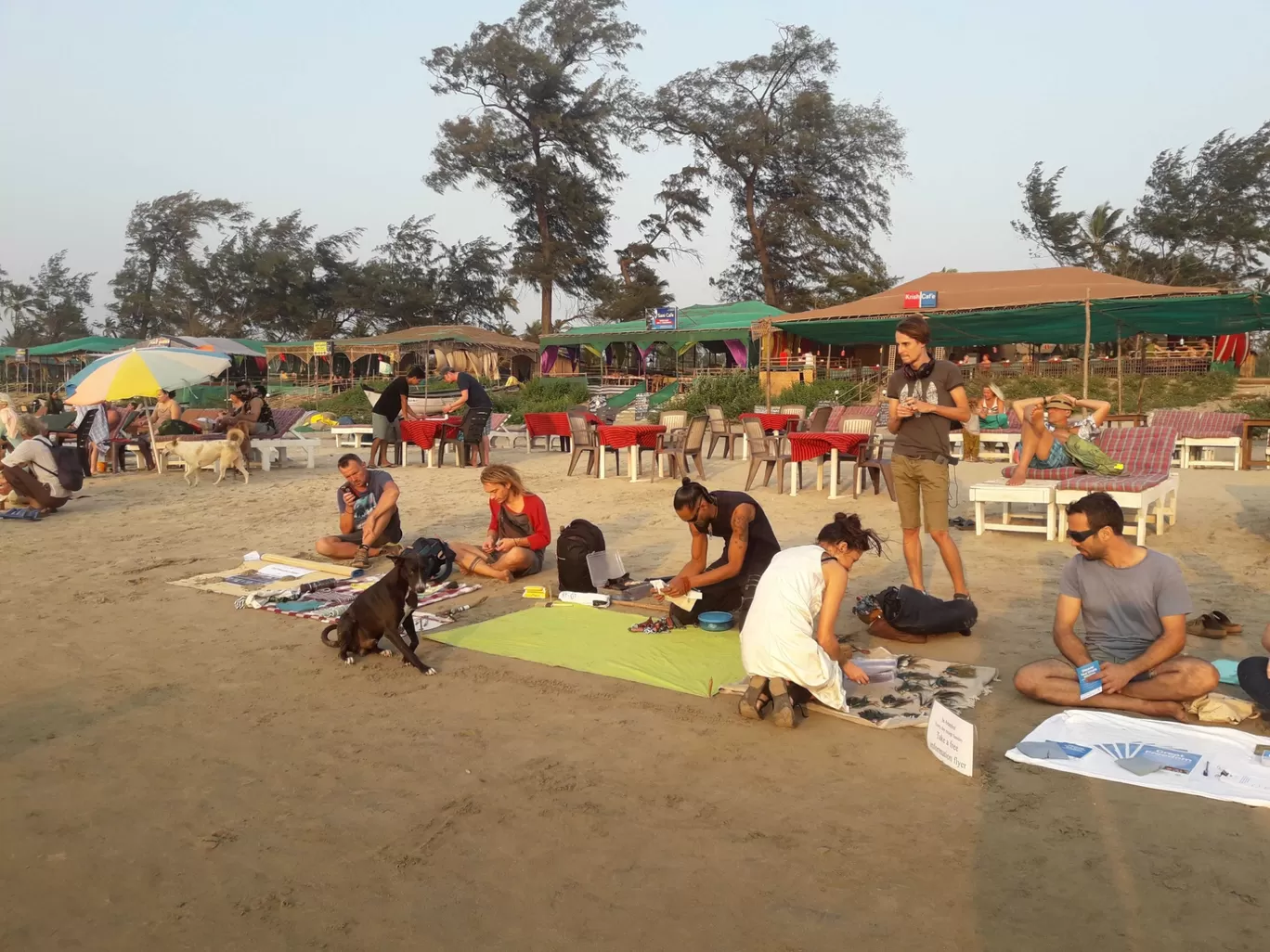 Photo of Arambol Beach By Nicole