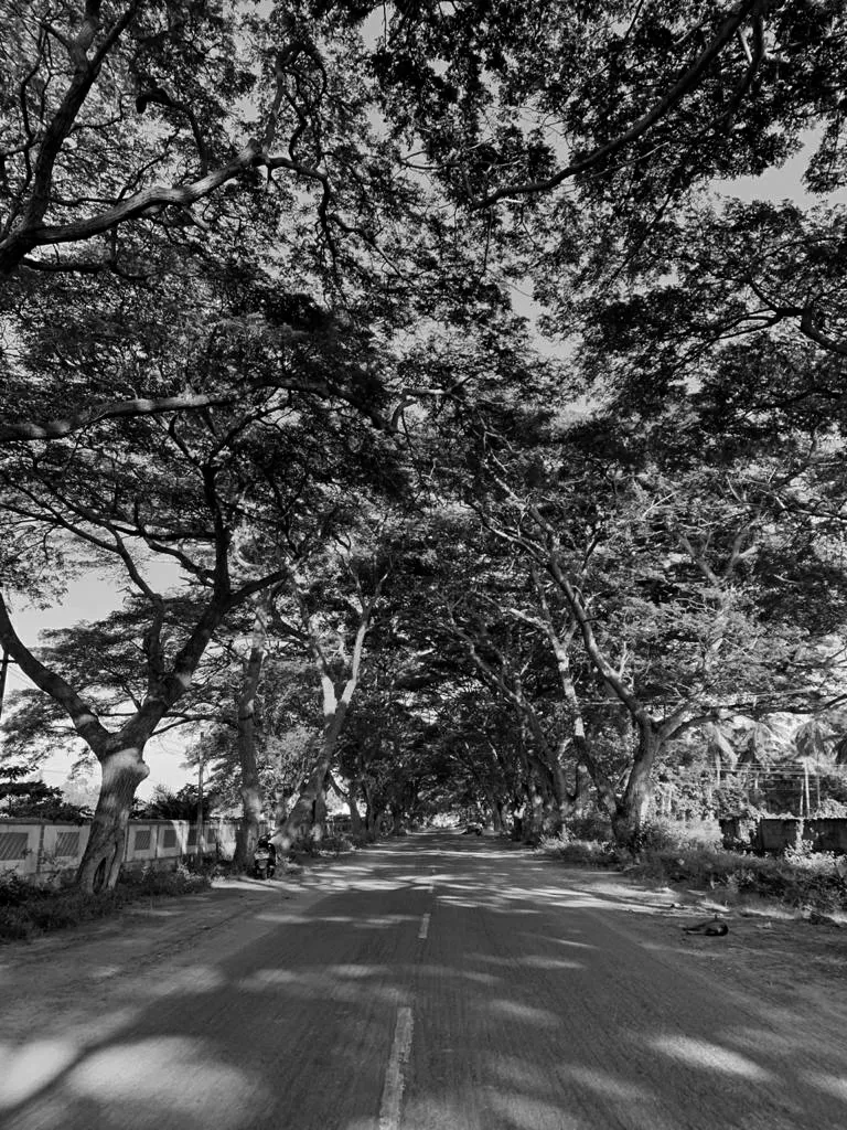 Photo of Gunupur By Bala Sanjay Kumar 