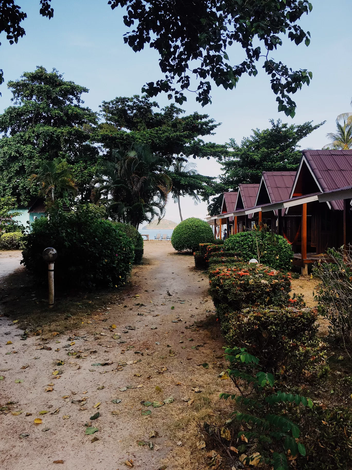 Photo of Koh Phangan By Alina Zhabinskaya