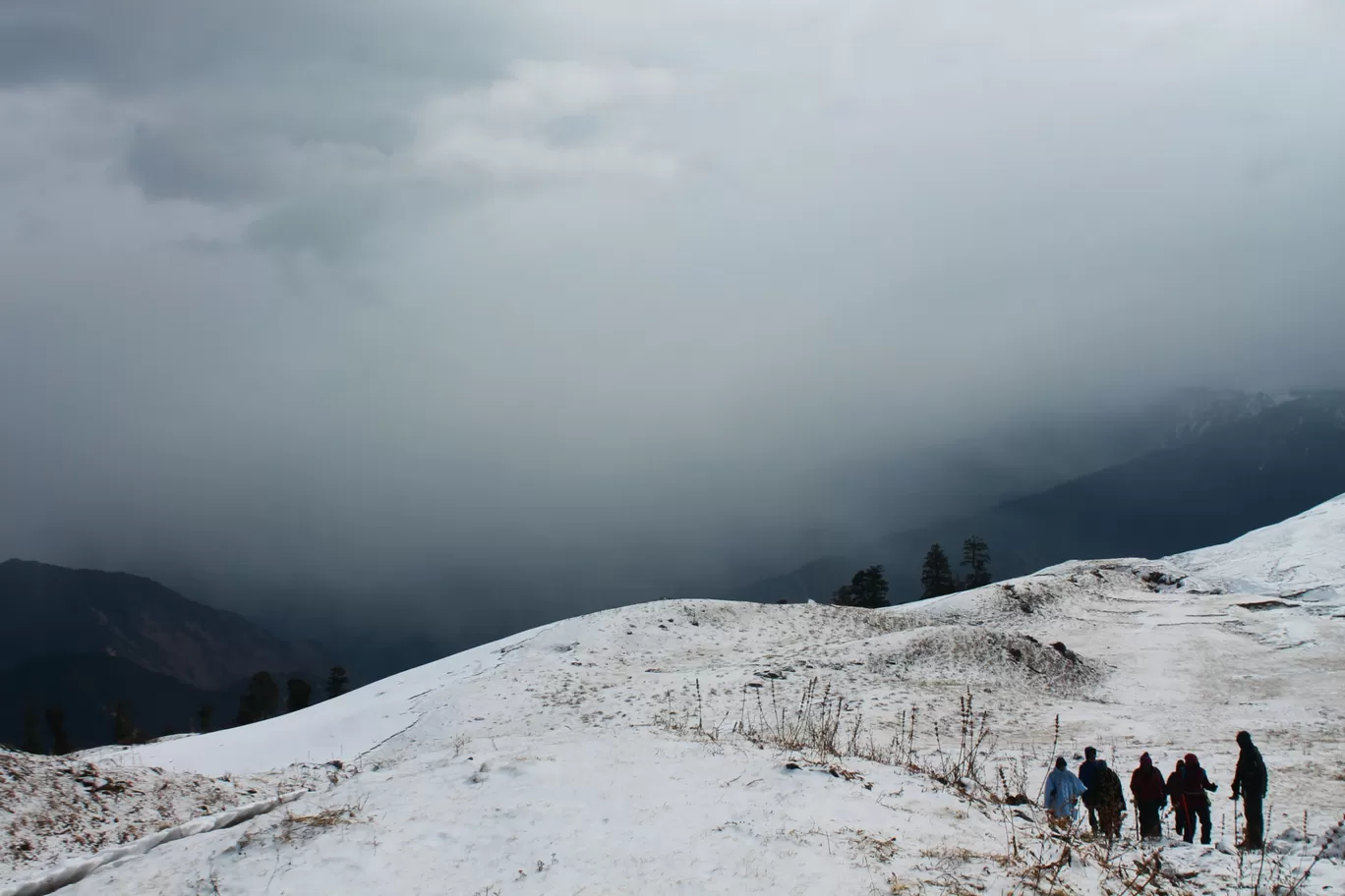 Photo of Dayara Bugyal trek By the_windowseat