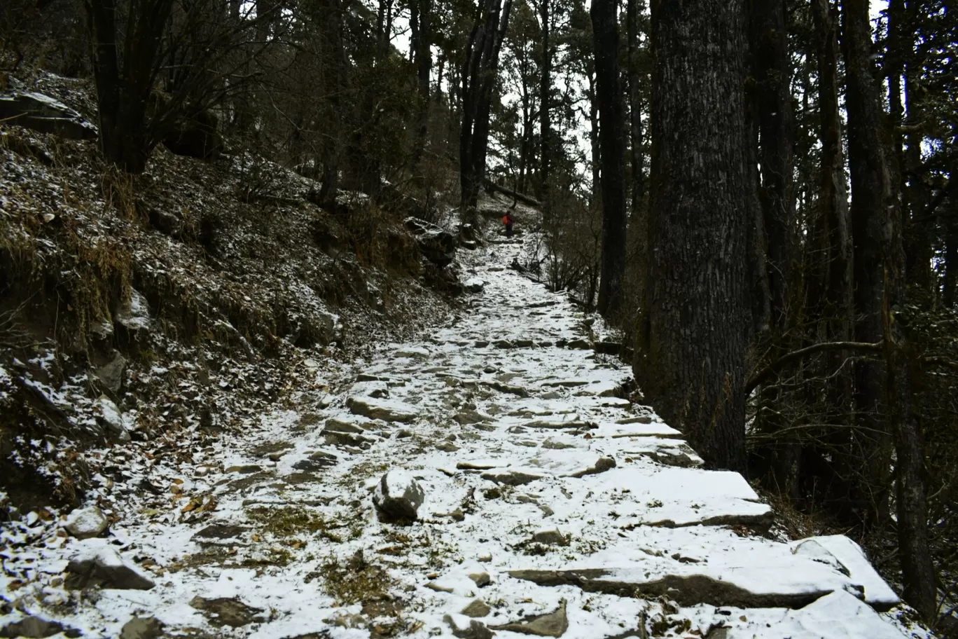 Photo of Dayara Bugyal trek By the_windowseat