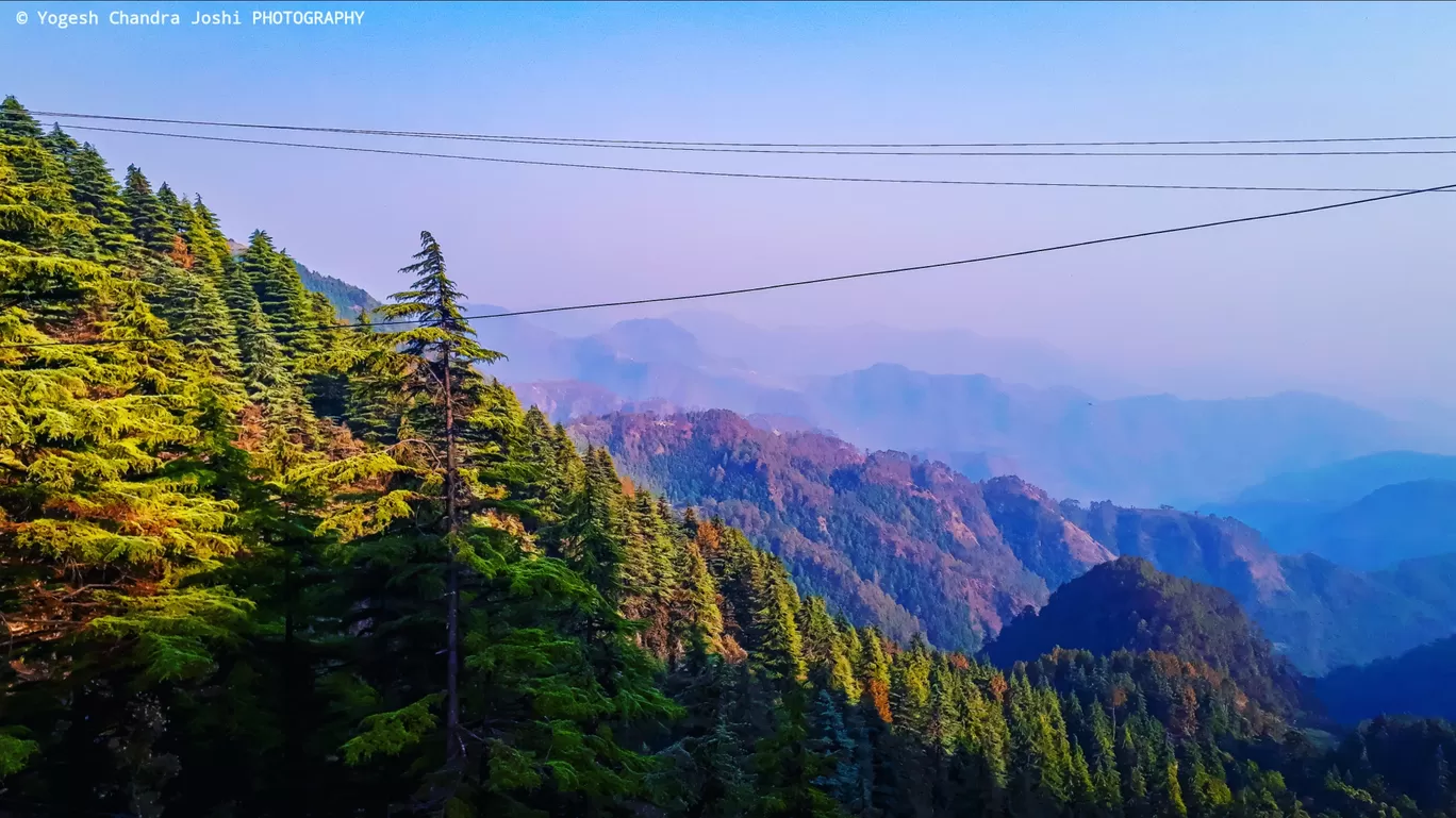 Photo of Dhanaulti By Yogesh Chandra Joshi