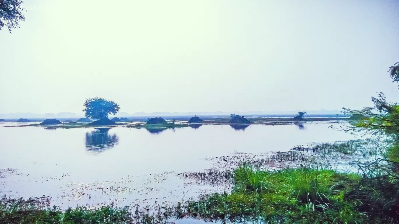 Photo of Keoladeo National Park By Yogesh Chandra Joshi